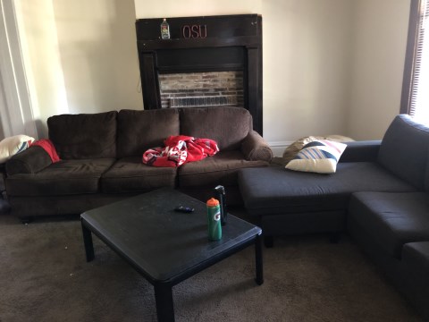 View 1 of the living room