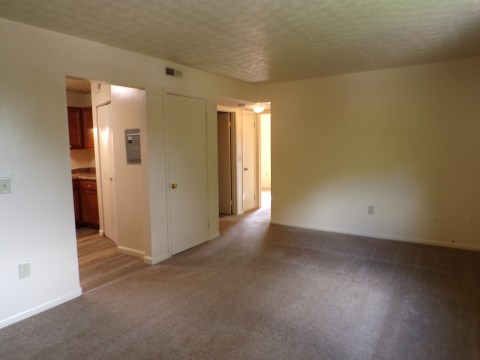 198 B6