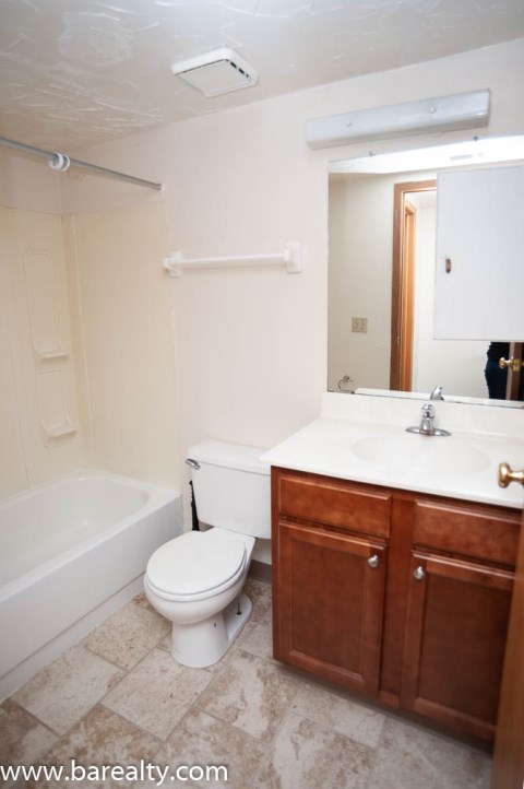 Lower Level Bathroom