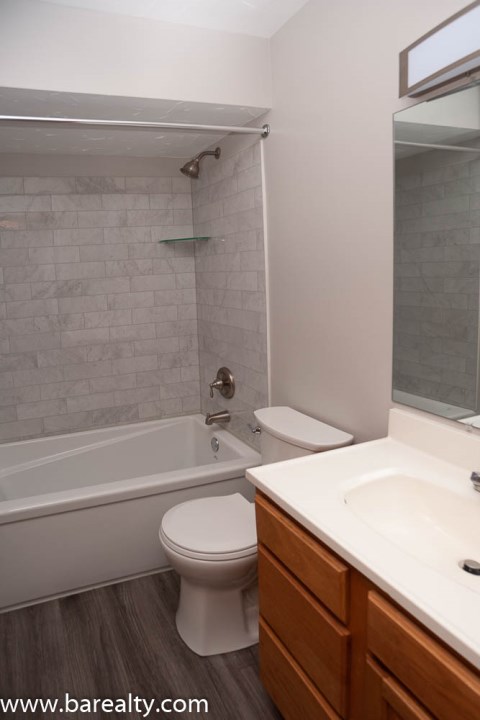 Lower level bathroom