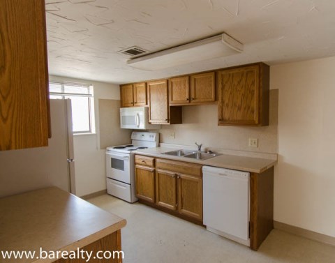 Kitchen view 1