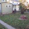 Back yard!