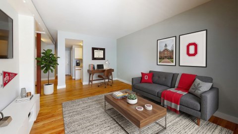 Staged Living Room