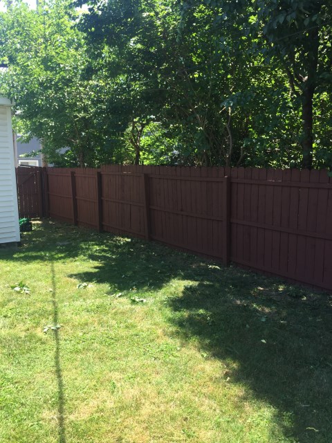 fence