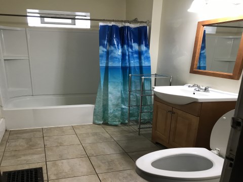 bathroom pic 2