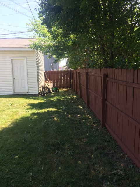 fence