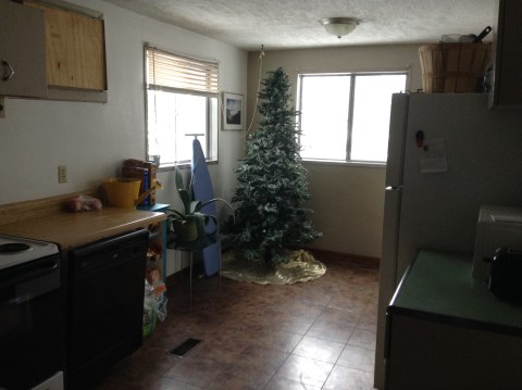 Kitchen / Dining area