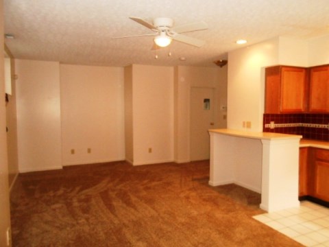 Living Room/Bedroom