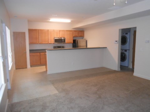Living Room/Kitchen