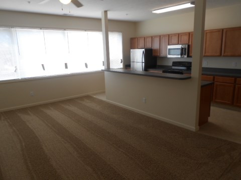 Living Room & Kitchen