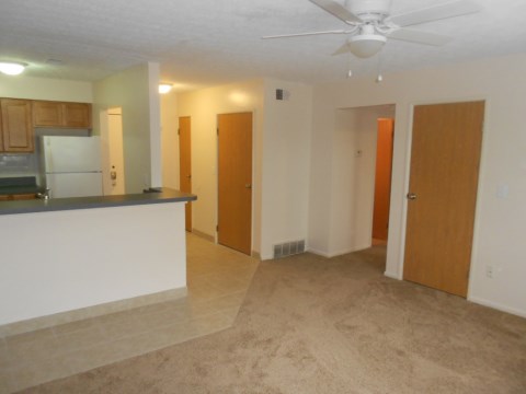 Living Room & Kitchen