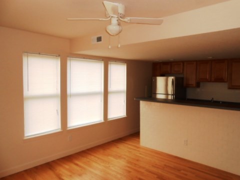 Living Room & Kitchen