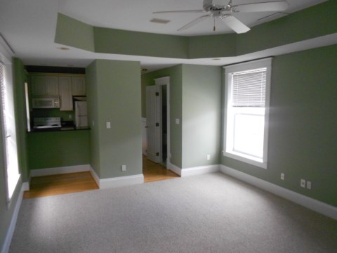 Living Room/Kitchen