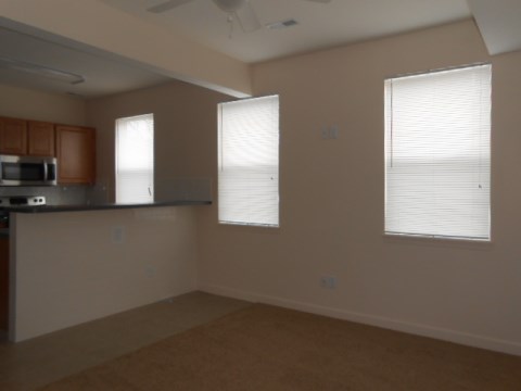Living Room/Kitchen