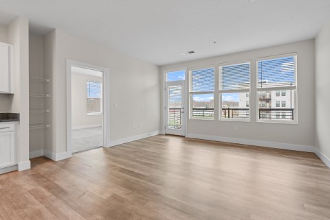 Open Layout