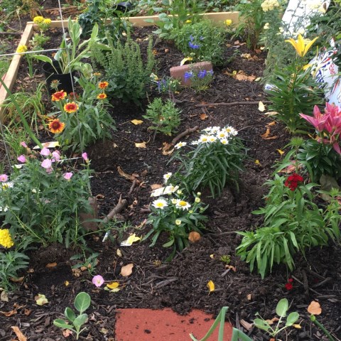 Flower garden