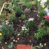 Flower garden