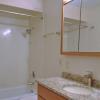 Big modern Bath