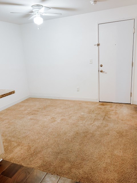 Entry Area