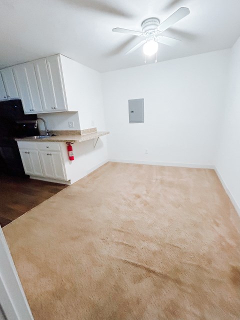 Dining/Living Area