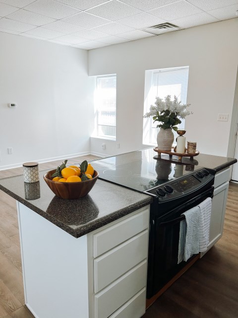 Kitchen Area (2)