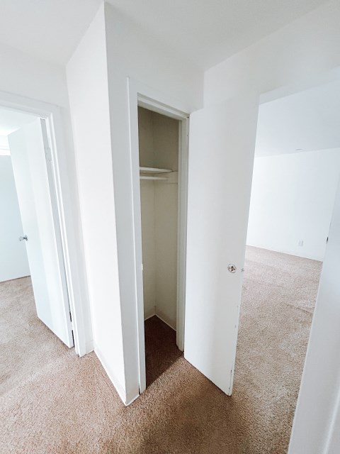 Hall Closet #2