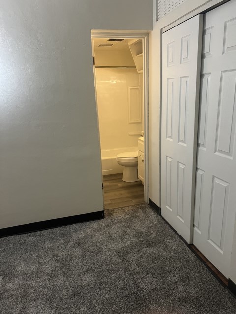 Bathroom and bed