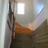 Basement steps
