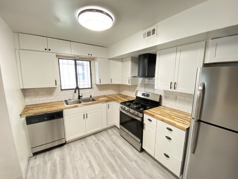 Kitchen - new remodel