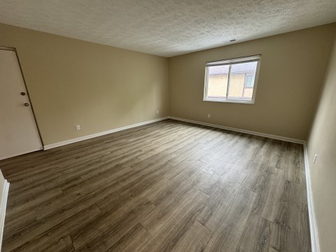 Large living room with new LVT flooring