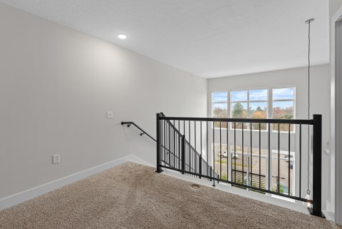 Plush Bedroom Carpet