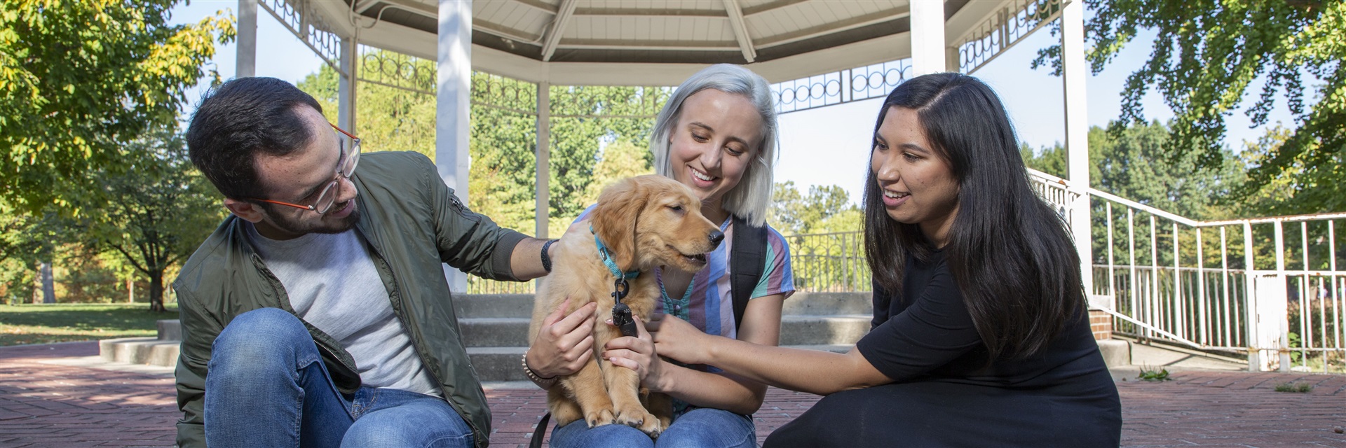 Three students sitting on the gazebo at Goodale Park with a Golden Retriever puppy