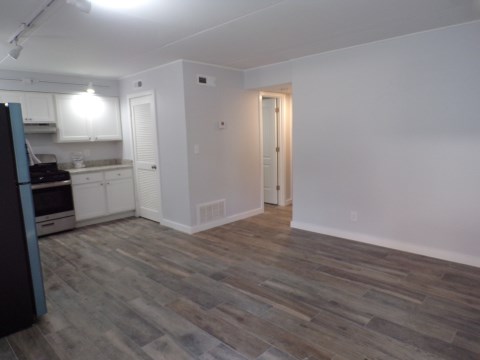 kitchen & living room