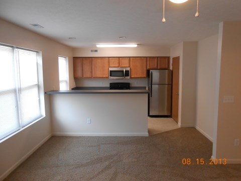 Kitchen & Living Room