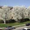 64-70 E. 12th ext