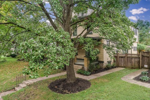 Beautiful front yard