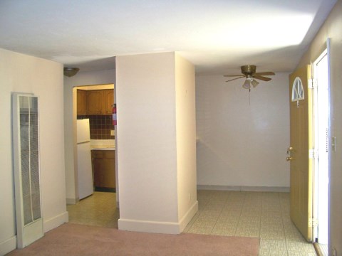 Living room / Kitchen