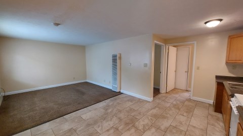 214 East Norwich Avenue D - living room