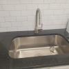 New Kitchen Sink & Faucet
