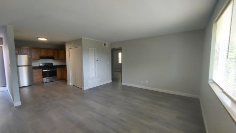 Living room  - Kitchen