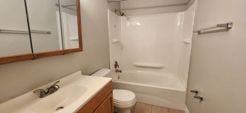 102 W. 8th Ave #202 - bathroom
