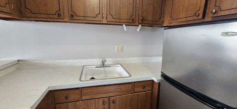 Kitchen Sink Area