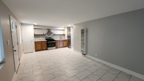 Living room-Kitchen