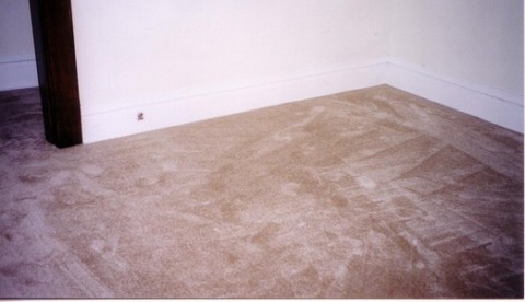 carpet