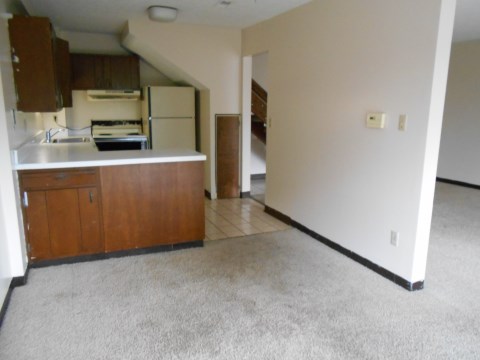 Living Room/Kitchen