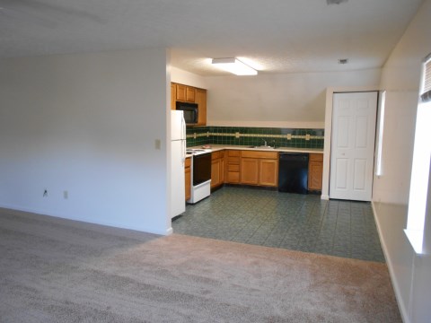 Living Room/Kitchen