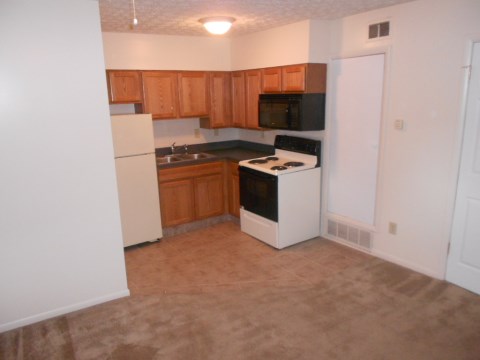 Living Room & Kitchen