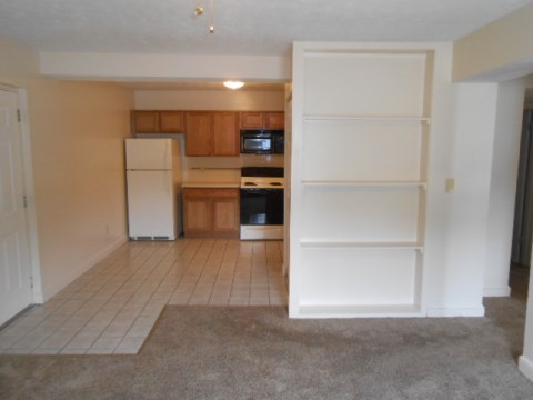 Living Room & Kitchen