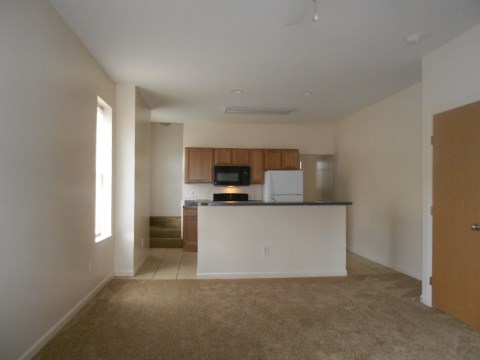 Kitchen & Living Room