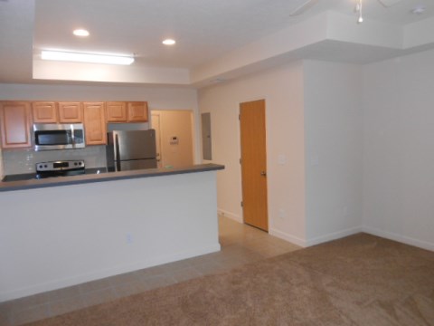Living Room & Kitchen